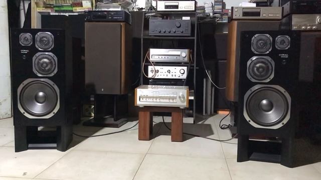 Приват с Coral Dx Eleven