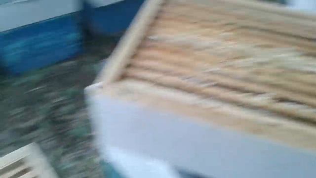 После цветения липы... Все не так и плохо