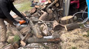 Prepare to be Disappointed | Stihl MS 182 First Start and Review