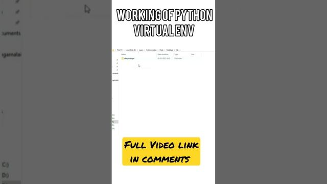 Working of Python Virtual Environment Along With Demo смотреть онлайн