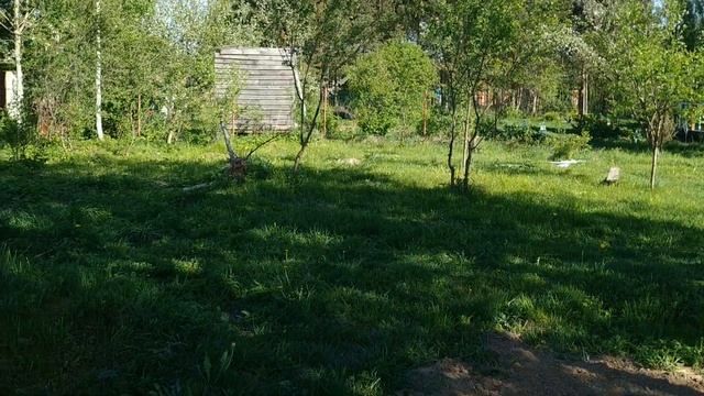 Дача/ май 2019/навела красоту/что растет на грядках смотреть онлайн