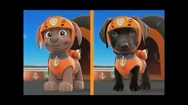 Щенки в реальной жизни из щенячьего патруля смотреть онлайн