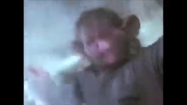 Boy Mouse tf witches reverse смотреть онлайн