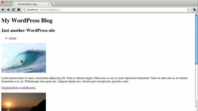 Wordpress Theme Design Course: The Index Template смотреть онлайн
