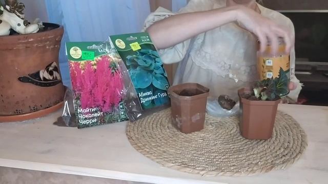 Подготовка к дачному сезону ❤️. Готовим жаркое по домашнему ?. Посадка бегонии ?. #рецепты #дача смотреть онлайн