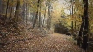 Sash feat. Tina Cousins - Mysterious Times (EuroDacer Remix).mp4