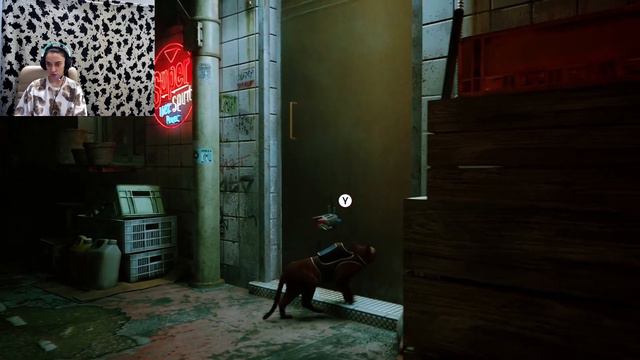 STRAY. котяра 2. Получили звездюлей Все. ( Я в том числе ) смотреть онлайн