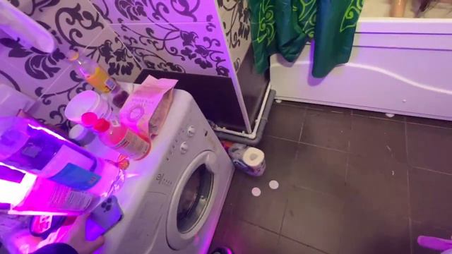 СТРОГО МОЕТ ГАЕЧКУ?! ГАЕЧКА В ВАННОЙ?! СТРИМ ИЗ БАССЕЙНА! ГАЕЧКА И СТРОГО СТРИМ! смотреть онлайн