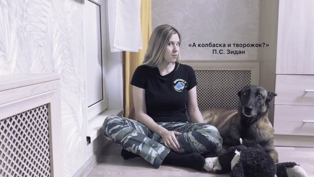 Кормление собаки, как кормить, рацион питания , натуралка, натуральный корм или сухой корм