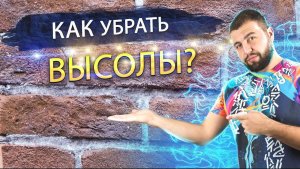 Как убрать высолы на кирпичной стене_Защита кирпича от влаги