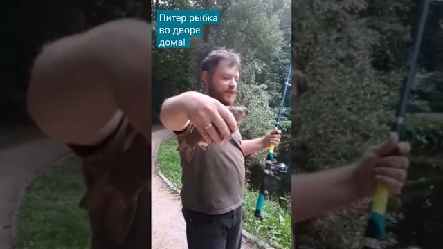 #рыбамоеймечты #рыбалка #удочка #озеро #спб #удельная смотреть онлайн