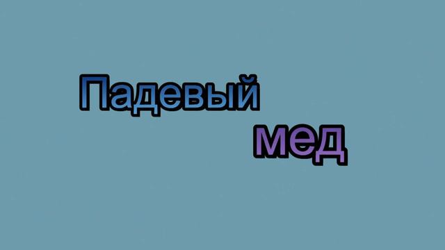 Гибель пчел в начале зимовки, возможные причины смотреть онлайн