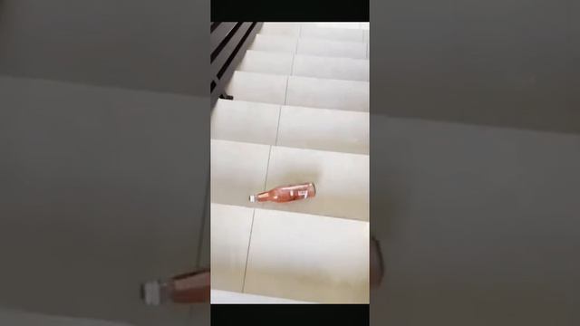 Breaking bottles on the stairs pleasant sounds are a buzz to the ears смотреть онлайн