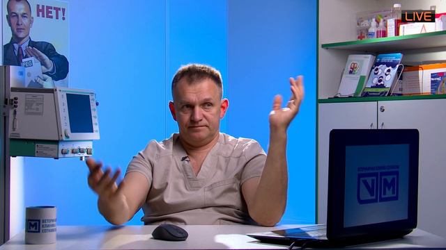 Случаи в интернете много интересного смотреть онлайн