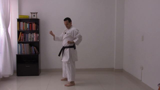 ?BIEN EXPLICADO ? UCHI UKE |Karate Shotokan| смотреть онлайн