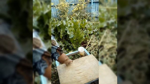 любимые, мамуля и доченька, с днем рождения смотреть онлайн