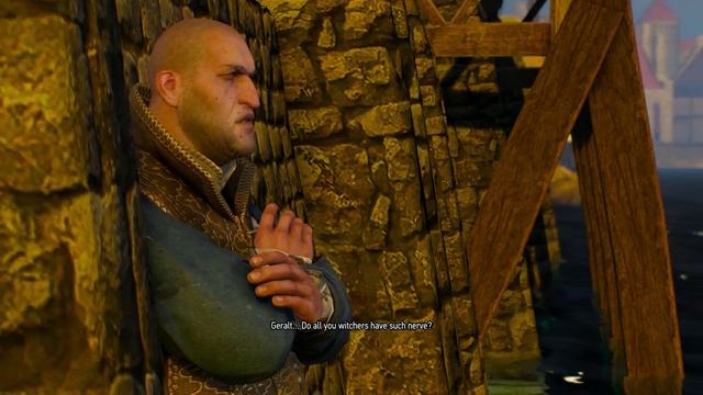 The Witcher 3 - Count Reuvin's Treasure: Dijkstra Reward & Argument Dialogue Tree "Key to Vault" смотреть онлайн