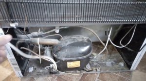 Диагностика холодильника Бирюса.