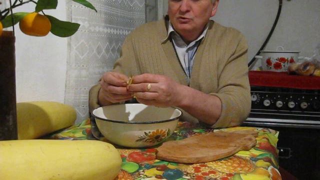 Свои кабачки и свои семена в феврале смотреть онлайн