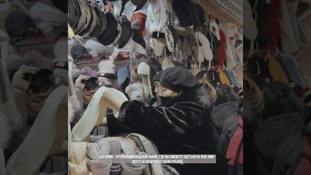 Все бренды теперь есть в Монголии. Шоппинг туры в Улан-Батор смотреть онлайн