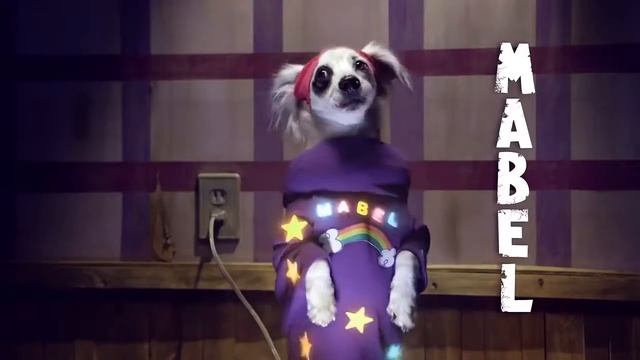 Заставка из Гравити Фолз (собачья версия) смотреть онлайн