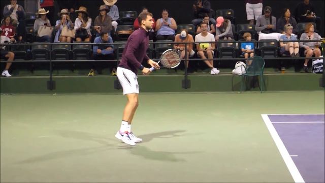Grigor Dimitrov Forehand Slow Motion 2019 смотреть онлайн