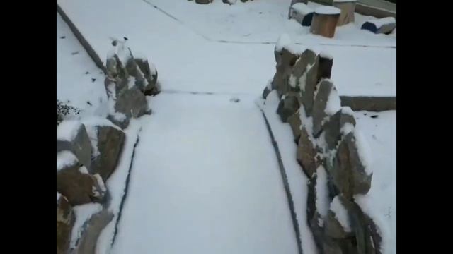 ВЫПАЛ ПЕРВЫЙ СНЕГ.Маленький принц вышел погулять со своими друзьями