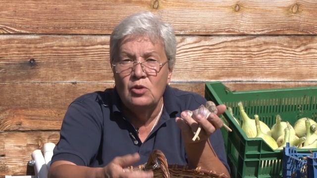 Голова садовая - Выбираем озимый чеснок смотреть онлайн