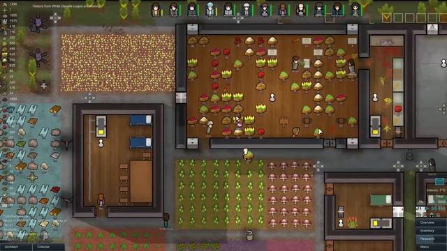 Good Morning RimWorld S2E13 смотреть онлайн