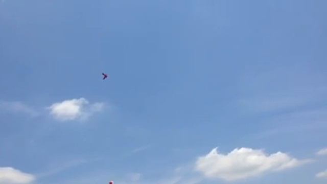 Snoopy and the Red Baron Chase смотреть онлайн