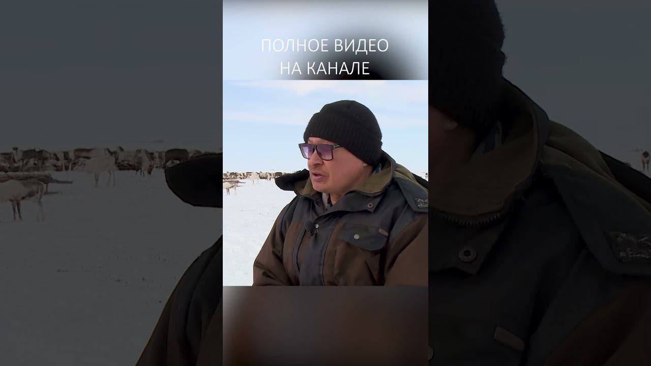 ПО ЗОВУ ТУНДРЫ 1 смотреть онлайн