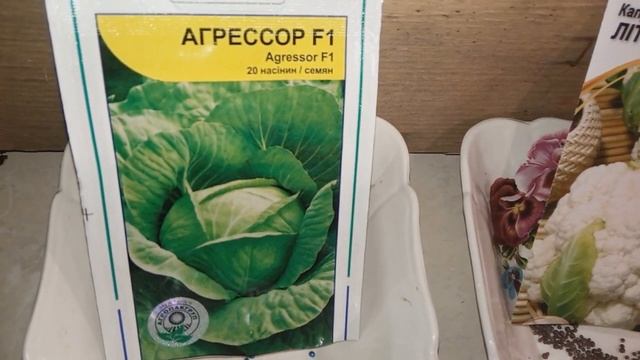 посев семян капусты в яичные лотки смотреть онлайн