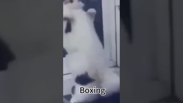 Отомстители смотреть онлайн