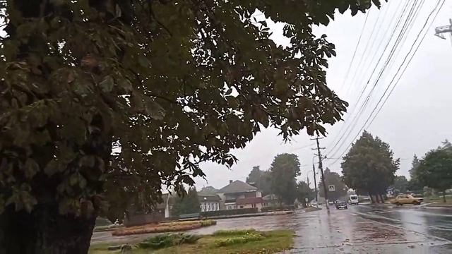 Осень в городе...прогулка под дождем...