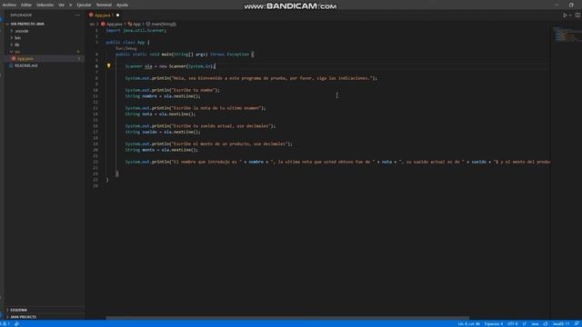 Ejercicio nro 1 Java Jesus Ninin смотреть онлайн
