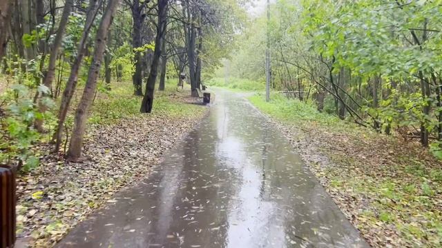 Да какая разница, кто досматривал мать? Вы и так жируете, так что квартиру я оставлю себе. смотреть онлайн