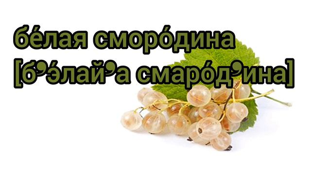 Как произносится белая смородина по-русски смотреть онлайн
