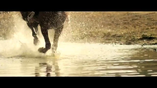 Санаторно курортный комплекс Волжанка смотреть онлайн