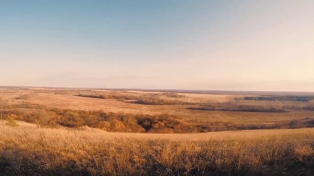 Самый обычный день на альфе | "недовлог" смотреть онлайн