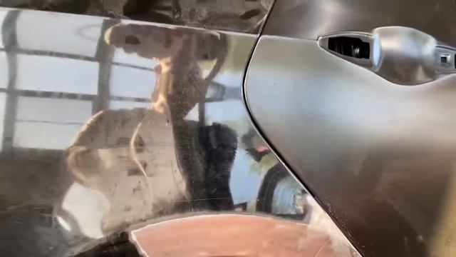 Ремонтное ускорение: скорость без компромиссов