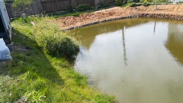 пруд на даче#10.чем кормить рыб в пруду.корм для карпа,карася,линя.рыбалка в своем пруду на даче. смотреть онлайн