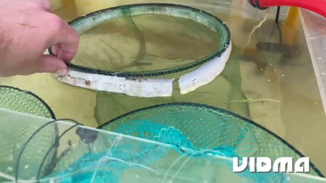 Сделали ферму ЖИВОРОДЯЩИХ рыбок в аквариуме 400 л. Эксперимент! Разведение живородящих рыб в садках смотреть онлайн