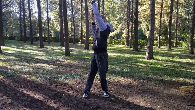 Вытягивания и стекания с бан. Базовые основы тайцзицюань. смотреть онлайн