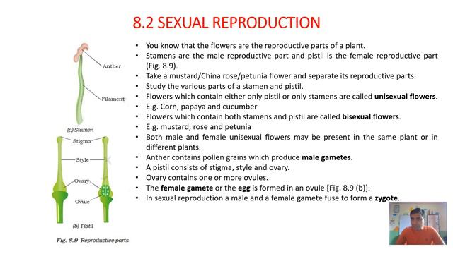 Class7 #science chapter7 part2: #reproduction in Plants based on #ncert books. #pappaclasses смотреть онлайн