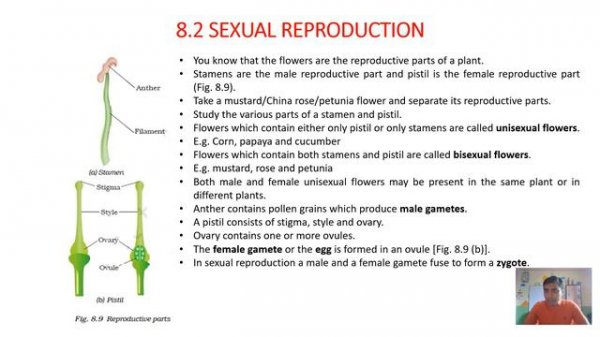 Class7 #science chapter7 part2: #reproduction   in Plants based on #ncert  books. #pappaclasses