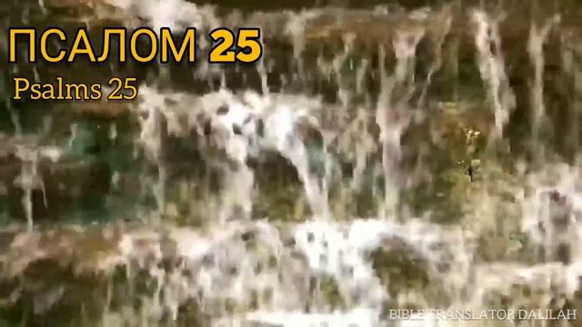 библейские псалмы (21-30)