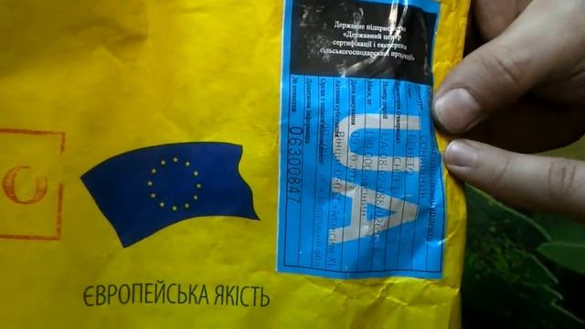 Обзор новинка подсолнечника Бенето, Лейла устойчивого к расам волчка (заразихи) A,B,C,D,E,F смотреть онлайн