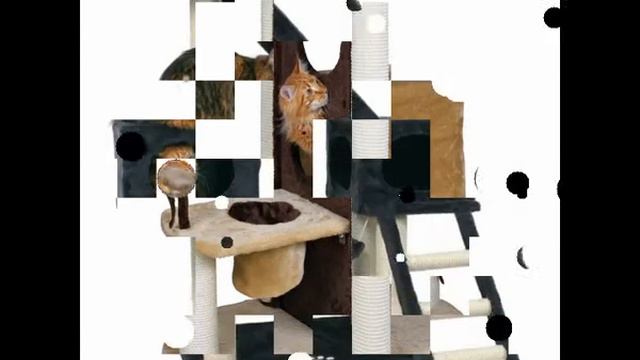 сделать домик кошке своими руками смотреть онлайн