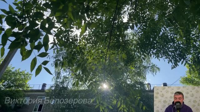 Судьбоносный развод. Рассказ