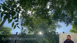 Судьбоносный развод. Рассказ